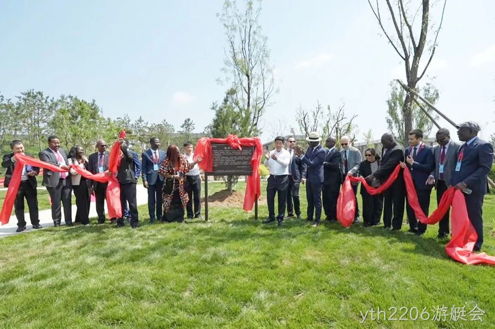 图片51 图片51