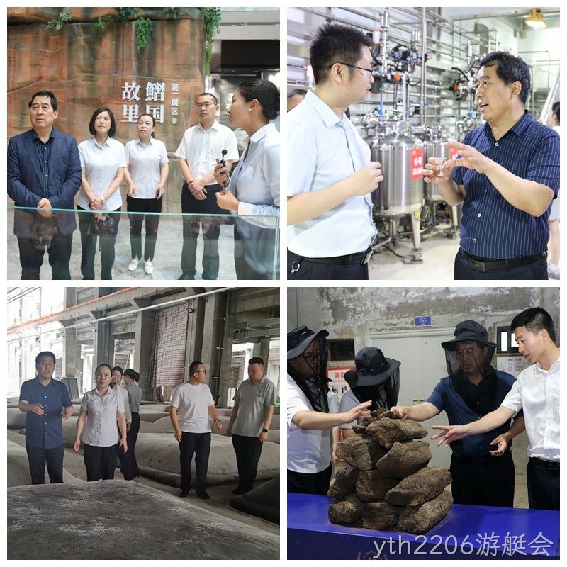 图片17 图片17